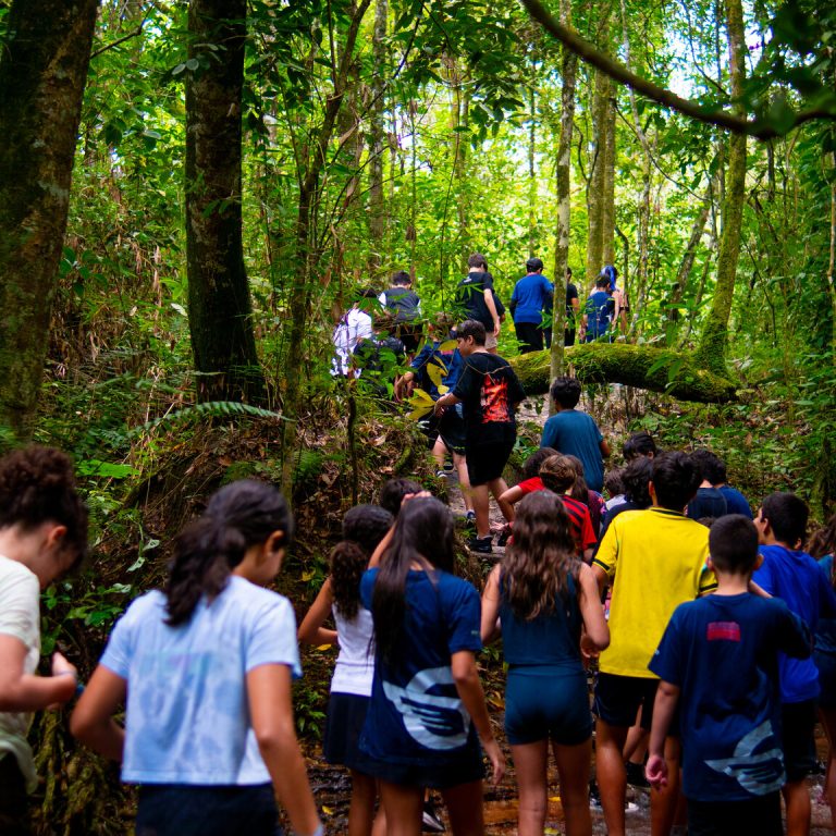 trilha-de-aventura-5